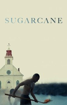 Sugarcane