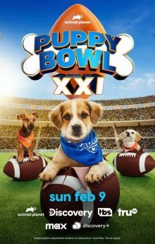 Puppy Bowl XXI